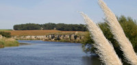 vení a disfrutar el río foto 2